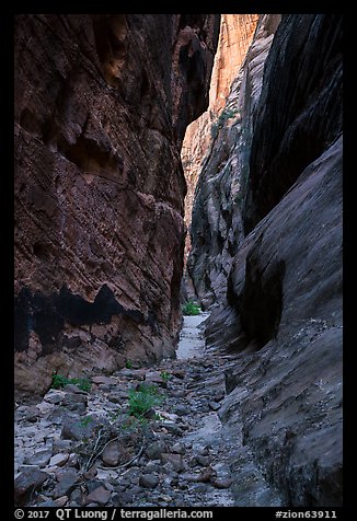 Narrows, Behunin Canyon. Zion National Park (color)