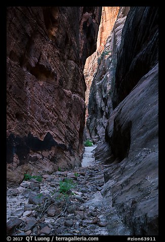Narrows, Behunin Canyon. Zion National Park (color)