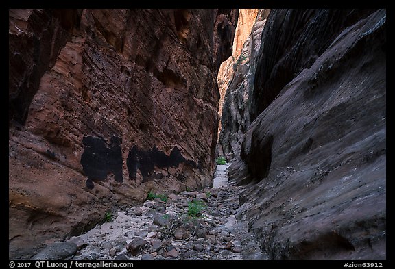 Narrow passage between tall walls, Behunin Canyon. Zion National Park (color)