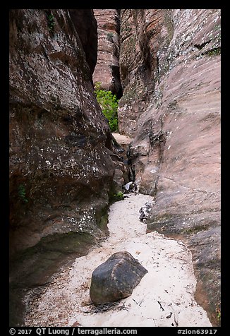 Sandy bottom of narrows, Behunin Canyon. Zion National Park (color)