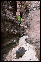 Sandy bottom of narrows, Behunin Canyon. Zion National Park ( color)