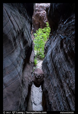 Chockstone wedged in narrows, Behunin Canyon. Zion National Park (color)