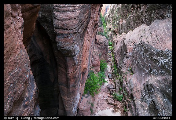 Narrows from above, Behunin Canyon. Zion National Park (color)