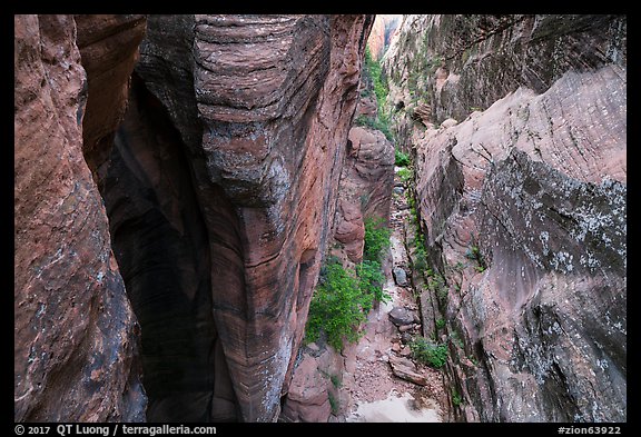 Narrows from above, Behunin Canyon. Zion National Park (color)