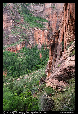 Cliff above Emerald Pools. Zion National Park (color)