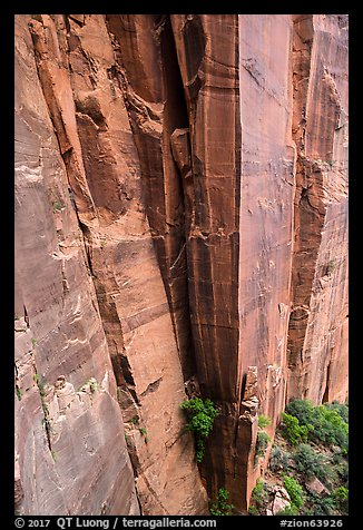 Sandstone cliffs. Zion National Park (color)