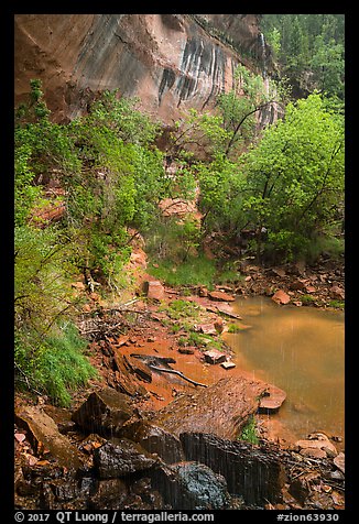 Lower Emerald Pool with drip from Middle Emerald Pool. Zion National Park (color)