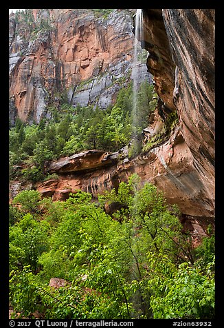 Waterfall above Lower Emerald Pool. Zion National Park (color)