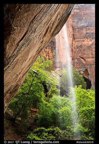 Waterfall on alcove above Lower Emerald Pool. Zion National Park (color)