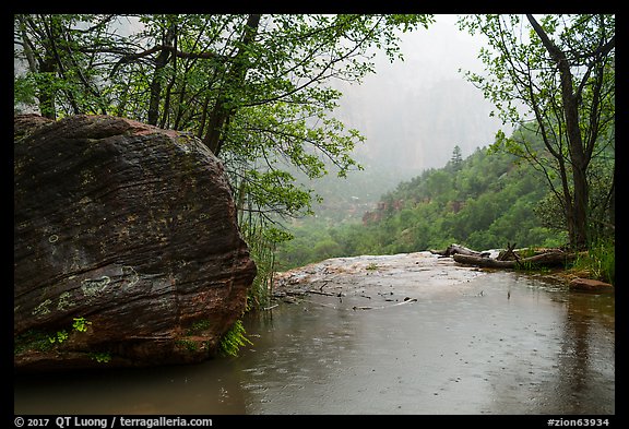 Middle Emerald Pool and raindrops. Zion National Park (color)