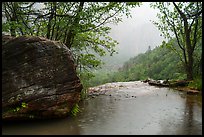 Middle Emerald Pool and raindrops. Zion National Park ( color)