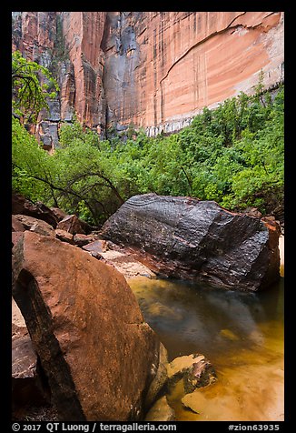 Boulders, Upper Emerald Pool. Zion National Park (color)