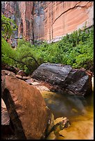 Boulders, Upper Emerald Pool. Zion National Park ( color)