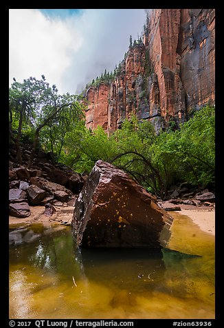 Boulder and cliffs, Upper Emerald Pool. Zion National Park (color)