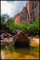 Boulder and cliffs, Upper Emerald Pool. Zion National Park ( color)