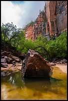 Boulder and cliffs, Upper Emerald Pool. Zion National Park ( color)