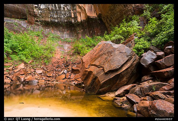 Upper Emerald Pool. Zion National Park (color)