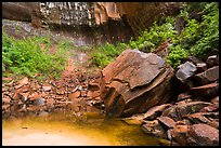 Upper Emerald Pool. Zion National Park ( color)