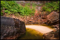 Sand crescent, Upper Emerald Pool. Zion National Park ( color)