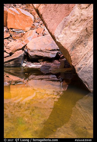 Reflections, Upper Emerald Pool. Zion National Park (color)