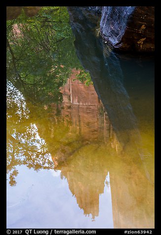 Cliff reflections, Upper Emerald Pool. Zion National Park (color)