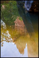 Cliff reflections, Upper Emerald Pool. Zion National Park ( color)