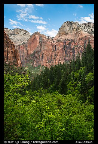 Zion Canyon from Upper Emerald Pool. Zion National Park (color)