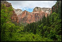 Upper Emerald Pool greenery frames Zion Canyon. Zion National Park ( color)