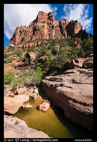 Tower above pool in Pine Creek Canyon. Zion National Park (color)