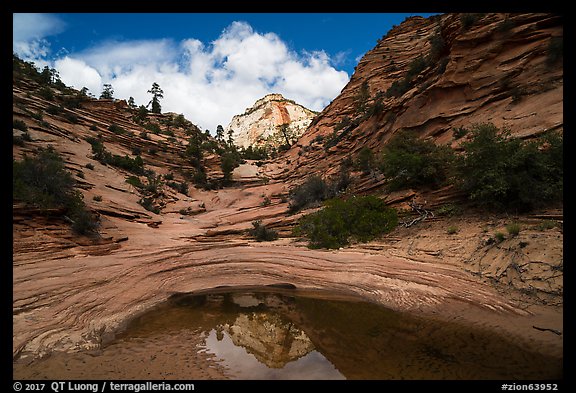 Peak reflected in pothole, Zion Plateau. Zion National Park (color)