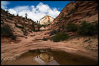 Peak reflected in pothole, Zion Plateau. Zion National Park ( color)