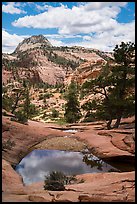 Pothole, Zion Plateau. Zion National Park ( color)