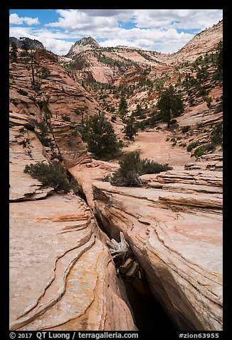 Crack, Zion Plateau. Zion National Park (color)