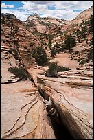 Crack, Zion Plateau. Zion National Park ( color)