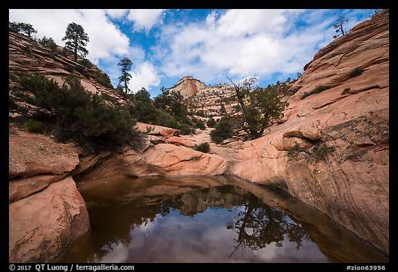 Large pothole, Many Potholes area, Zion Plateau. Zion National Park (color)