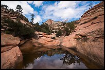 Large pothole, Many Potholes area, Zion Plateau. Zion National Park ( color)