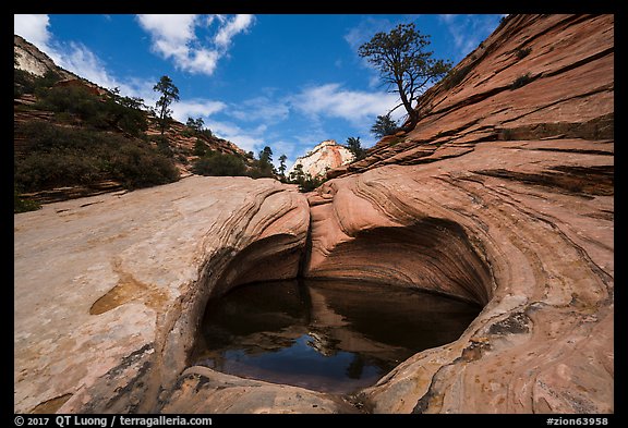 Pothole and slickrock, Zion Plateau. Zion National Park (color)