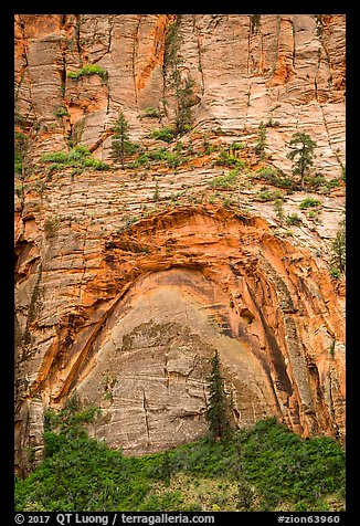 Large alcove. Zion National Park (color)