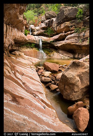 Pine Creek Canyon and Pine Creek waterfall. Zion National Park (color)