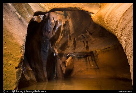 Cathedral chamber, Pine Creek Canyon. Zion National Park (color)