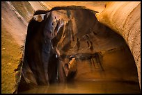 Cathedral chamber, Pine Creek Canyon. Zion National Park ( color)