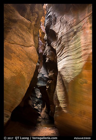 Narrows, Pine Creek Canyon. Zion National Park (color)