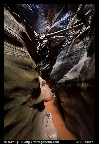 Logs jammed high in Pine Creek Canyon narrows. Zion National Park (color)