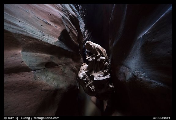 Log jammed in dark Pine Creek Canyon narrows. Zion National Park (color)