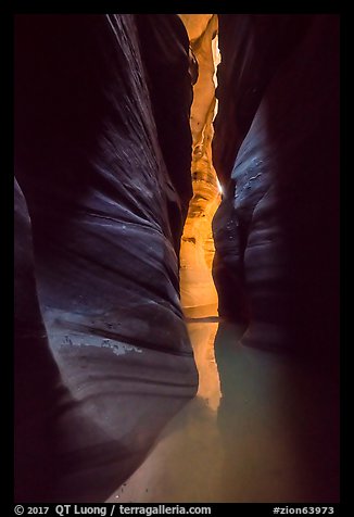 Glowing wall, Pine Creek Canyon slot. Zion National Park (color)