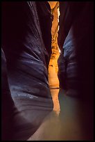 Glowing wall, Pine Creek Canyon slot. Zion National Park ( color)