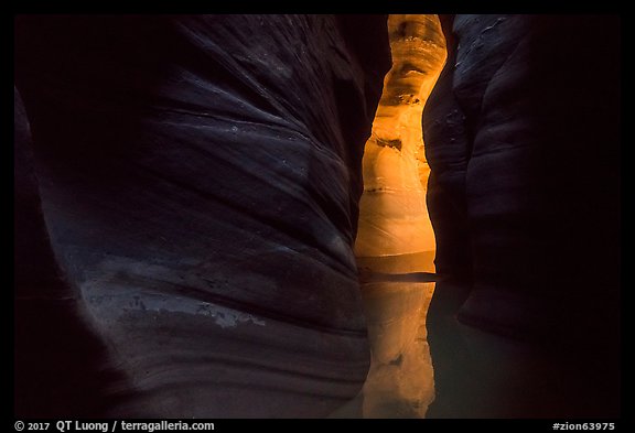 Dark narrows with glowing wall, Pine Creek Canyon. Zion National Park (color)