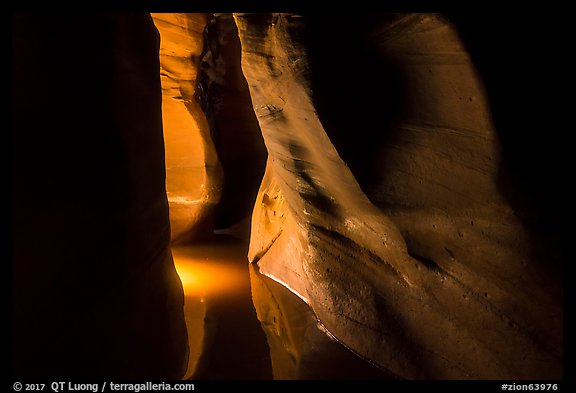 Light in flooded narrows, Pine Creek Canyon. Zion National Park (color)