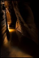 Light in dark flooded Pine Creek Canyon. Zion National Park ( color)