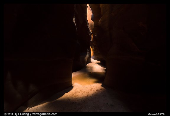 Pine Creek Canyon floor between narrow walls. Zion National Park (color)
